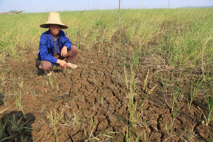 这是5月28日在鄱阳湖江西九江市虞家河乡青山嘴湖区拍摄的干裂的裸露湖床。新华社发（张海岩 摄）