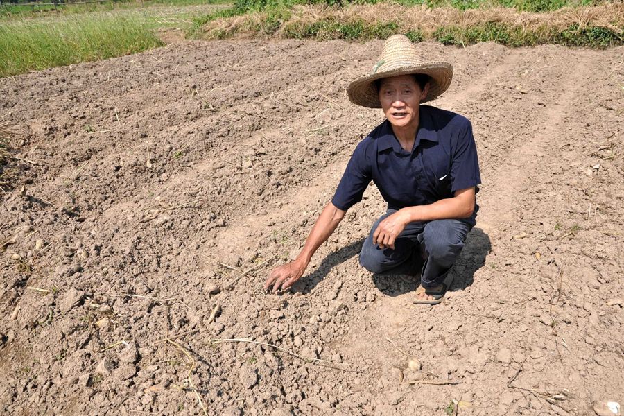 5月29日，在江西德兴市银城镇小吴园村，农民面对干旱的田地束手无策。