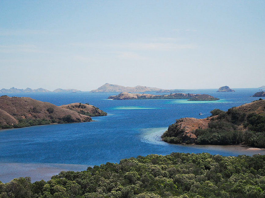 印尼科莫多国家公园