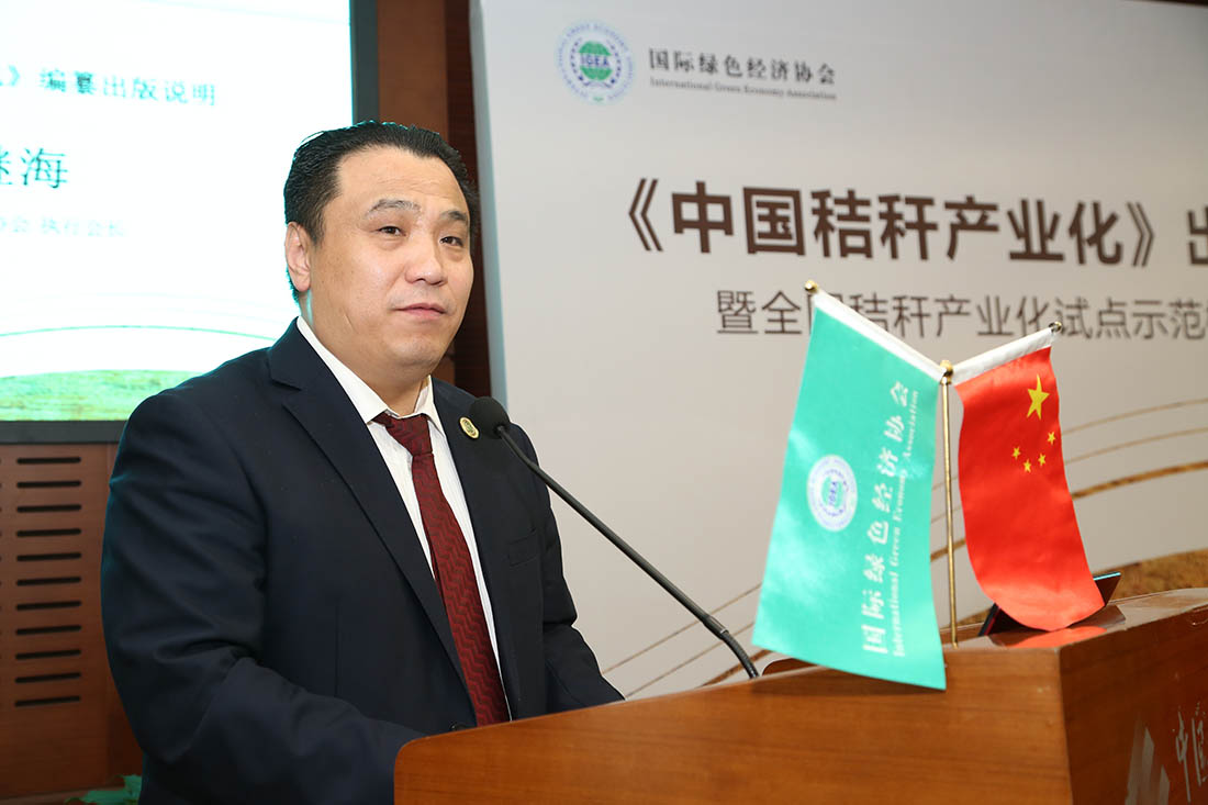 　邓继海 国际绿色经济协会执行会长