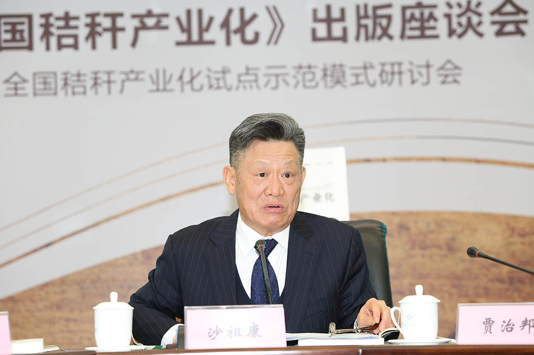 　沙祖康 联合国前副秘书长、国际绿色经济协会名誉会长