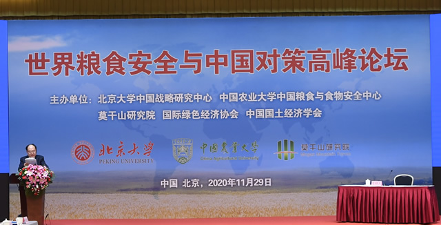 大背景.jpg