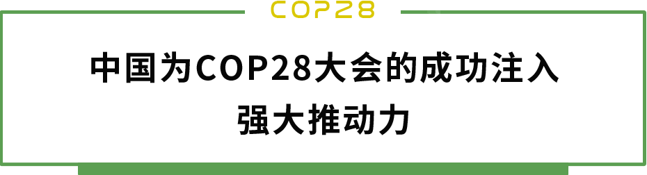 03.png undefined